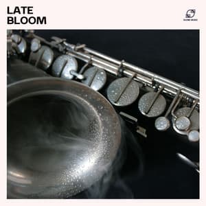 Late Bloom - Study Jazz