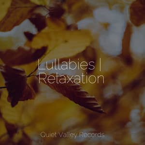 Lullabies | Relaxation - Rain Shower Spa