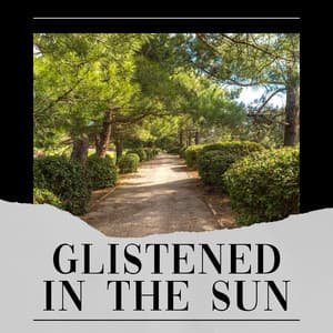 Glistened in the Sun - Nature Sound Collection