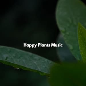 Happy Plants Music - Jazz Music Cafe