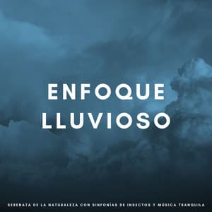 Enfoque Lluvioso: Serenata De La Naturaleza Con Sinfonías De Insectos Y Música Tranquila - Sowetness
