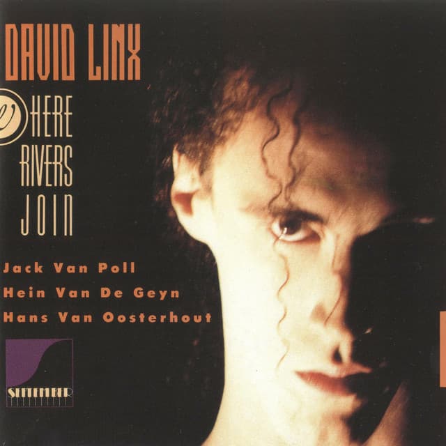 Where Rivers Join - David Linx