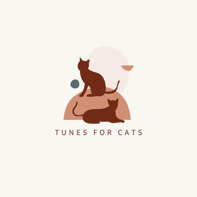 Tunes For Cats - Cat Music DJ