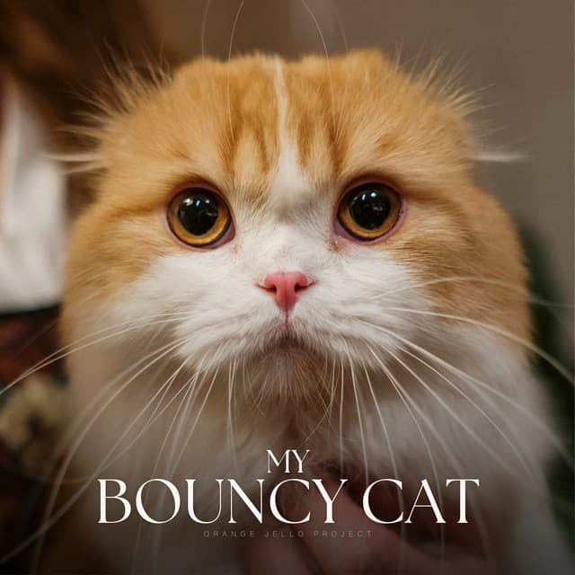 My Bouncy Cat - Music for Cats Peace