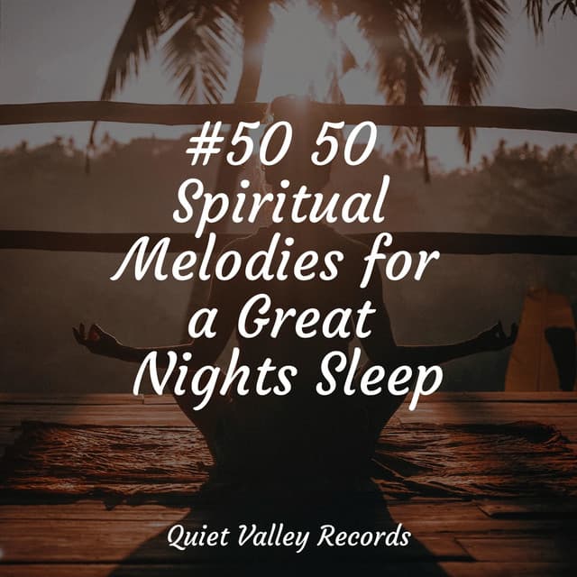 #50 50 Spiritual Melodies for a Great Nights Sleep - Tinnitus Aid