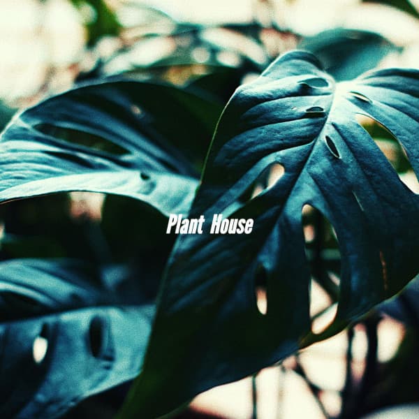 Plant House - Soft Jazz Relaxation