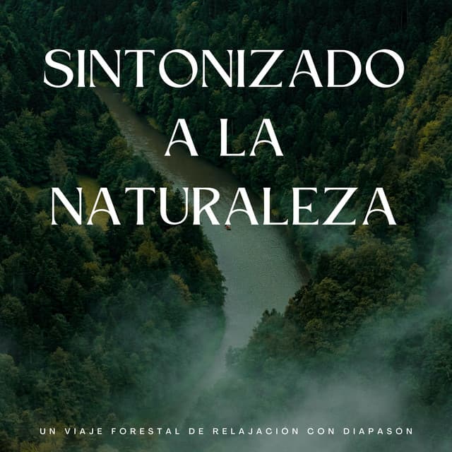 Sintonizado A La Naturaleza: Un Viaje Forestal De Relajación Con Diapasón - Ruidos ambientales forestales