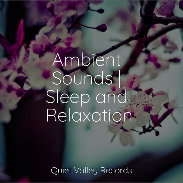 Ambient Sounds | Sleep and Relaxation - Relaxamento