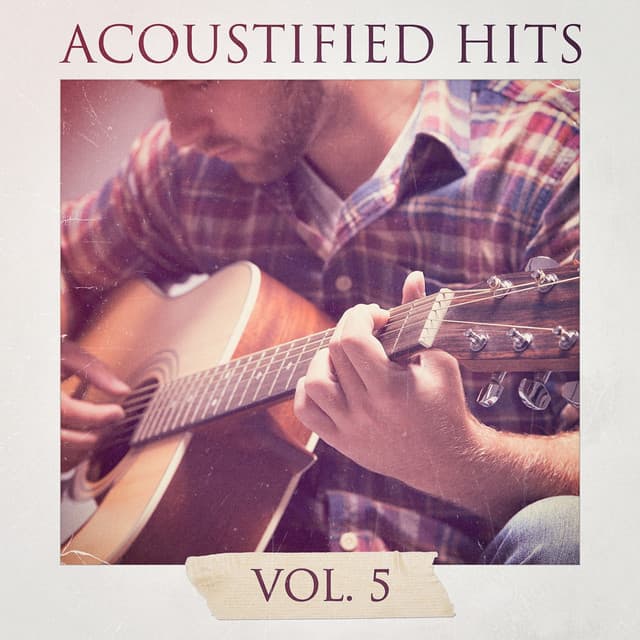 Acoustified Hits, Vol. 5 - Akustische Gitarren Musik