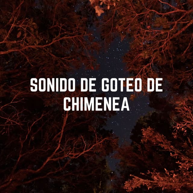Sonido De Goteo De Chimenea - Frutas de lluvia