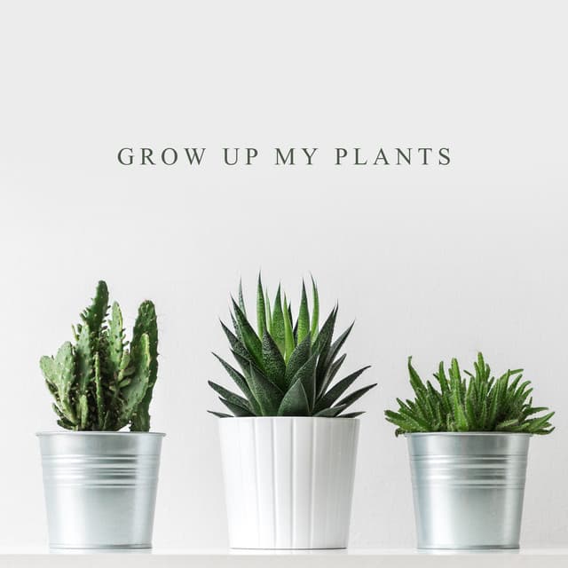 Grow up My Plants: Plant Care Routine, Soothing and Relaxing Sounds for Flowers, Jazz in the Background - Jazz Music Zone