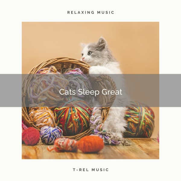 Cats Sleep Great - Biblioteca de Música Para Mascotas