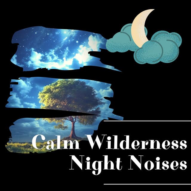 Calm Wilderness: Night Noises - Night Sounds Channel