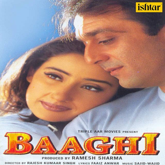Baaghi - Sajid-Wajid
