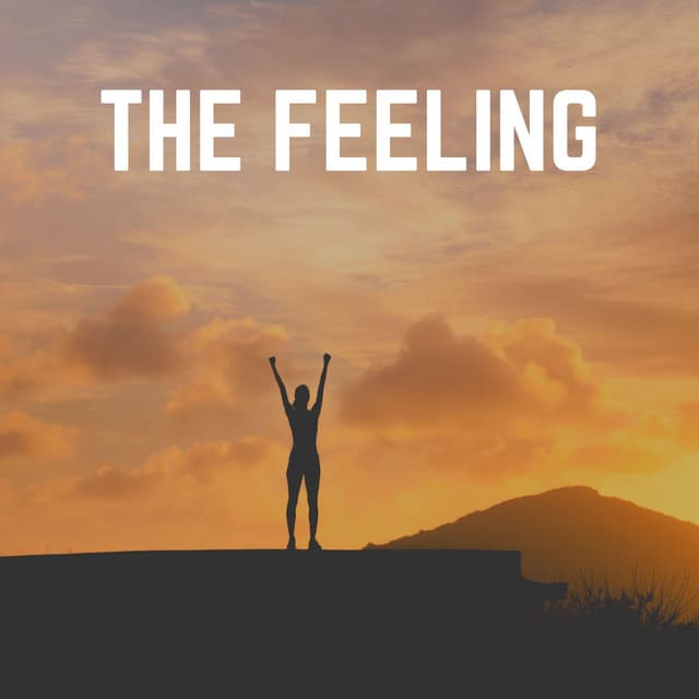 The Feeling - Ambient Music Therapy