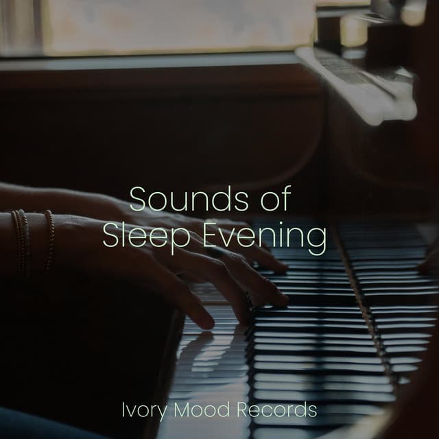 Sounds of Sleep Evening - Instrumental