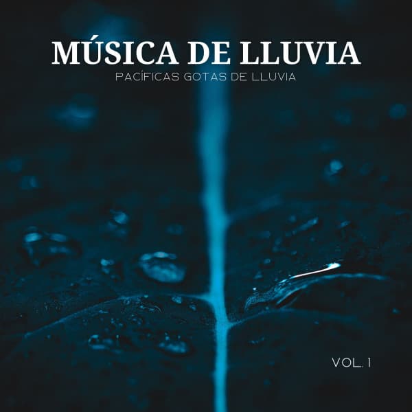 Música De Lluvia: Pacíficas Gotas De Lluvia Vol. 1 - Agua Del Mar