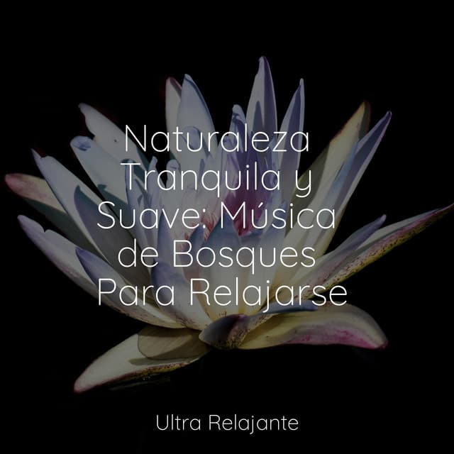 Naturaleza Tranquila y Suave: Música de Bosques Para Relajarse - Sueño Lucido