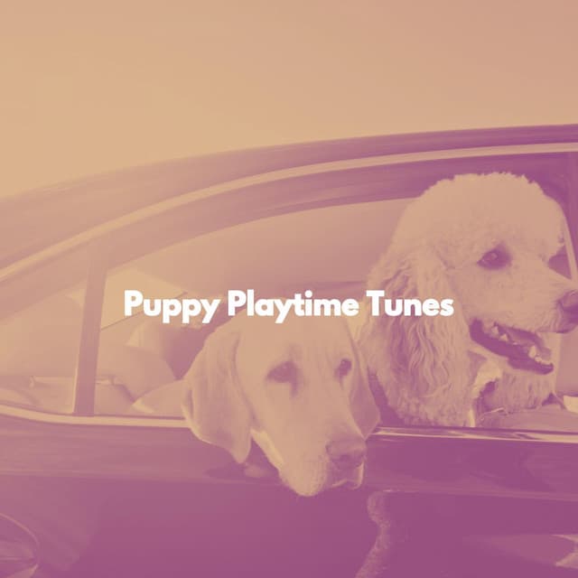 Puppy Playtime Tunes - Dogs at Home