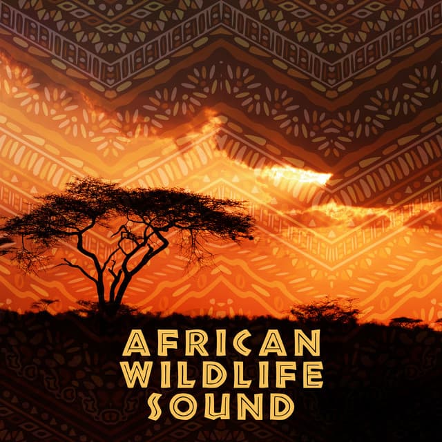 African Wildlife sound - Enigma Dream
