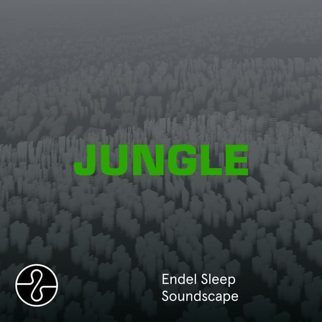 JUNGLE - The Blaze