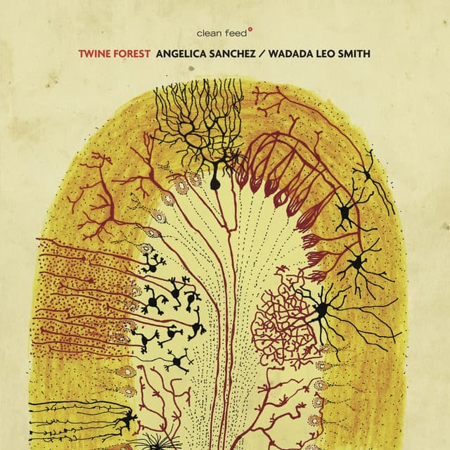 Twine Forest - Angelica Sanchez