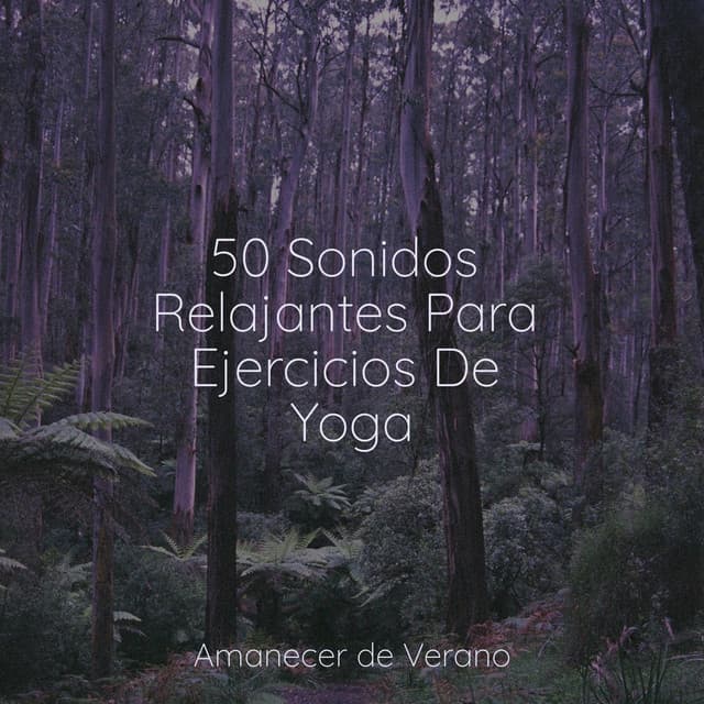 50 Sonidos Relajantes Para Ejercicios De Yoga - Rockabye Lullaby