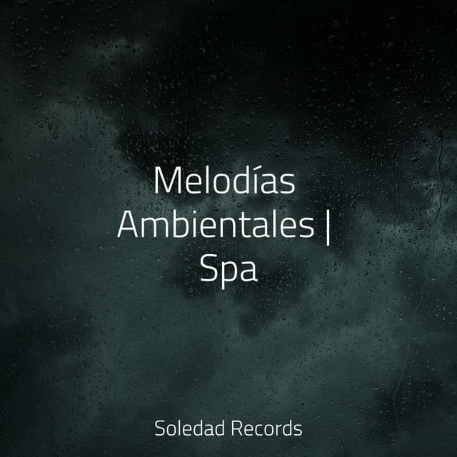 Melodías Ambientales | Spa - Mantra para Dormir