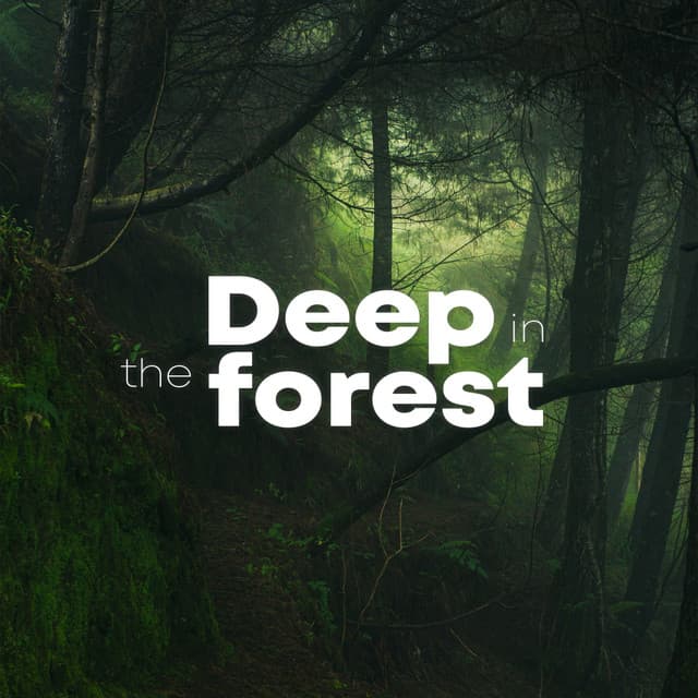 Deep In The Forest - ASMR Rain Sounds