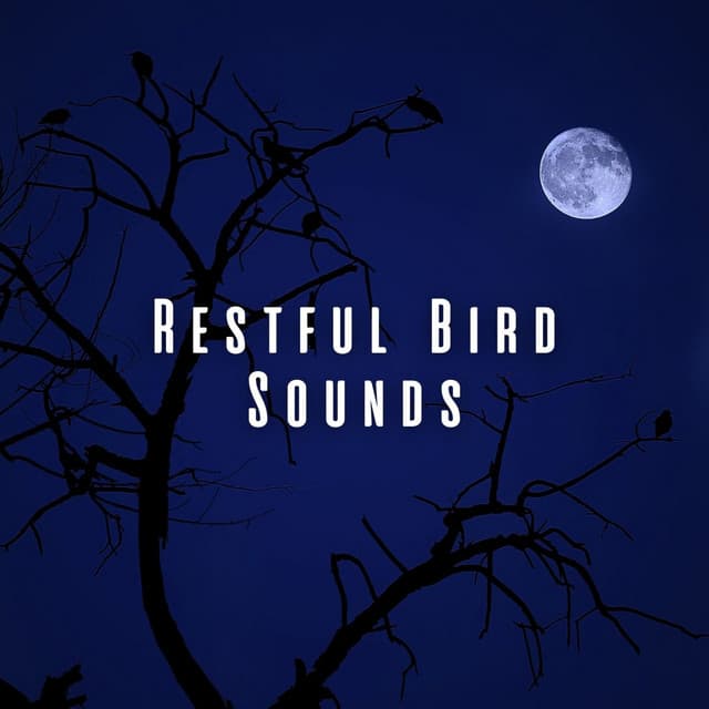 Restful Bird Sounds - Birds In The Forest