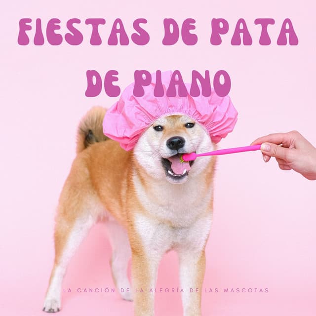 Fiestas De Pata De Piano: La Canción De La Alegría De Las Mascotas - Relajantes mañanas de jazz