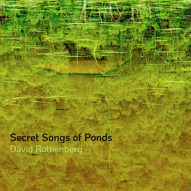 Secret Songs of Ponds - David Rothenberg