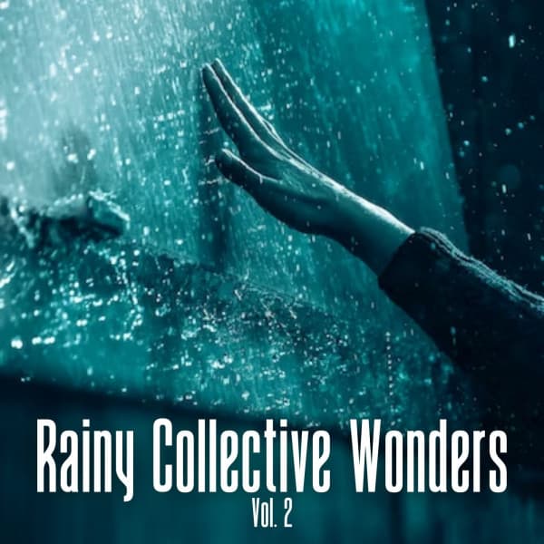 Rainy Collective Wonders Vol. 2 - Spa Music Lounge