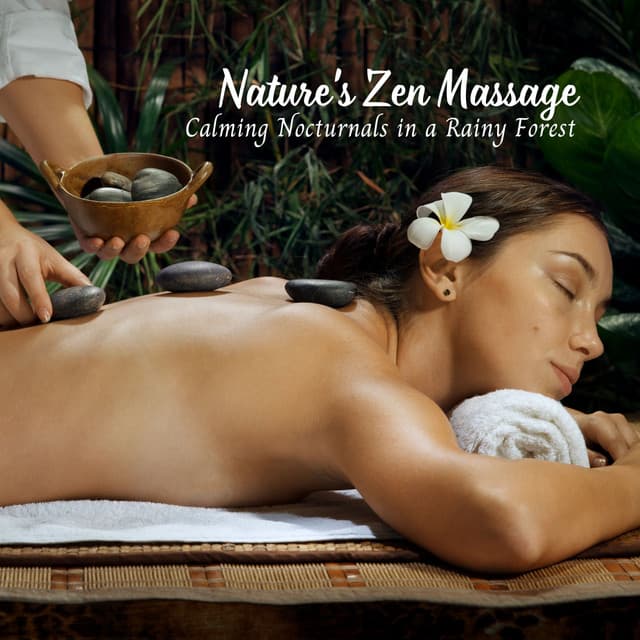 Nature's Zen Massage: Calming Nocturnals in a Rainy Forest - Rain Hard