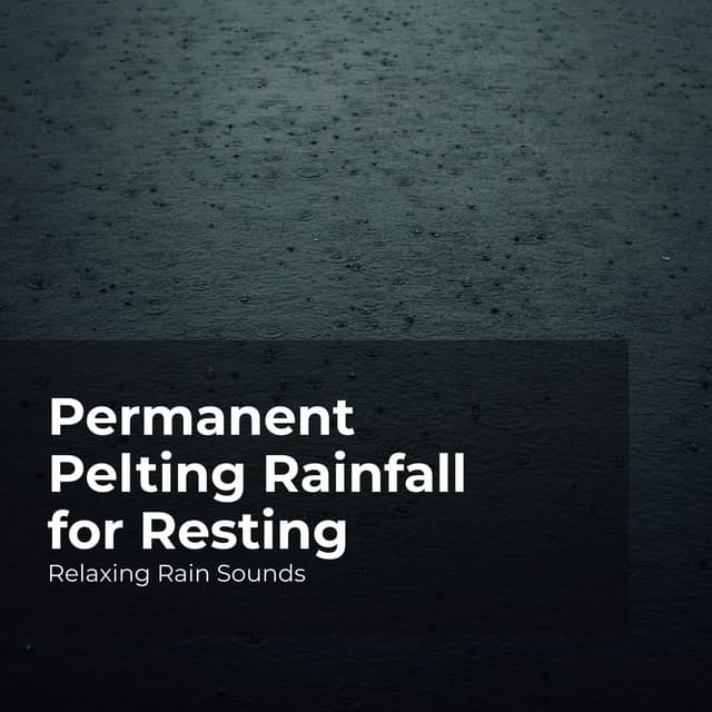 Permanent Pelting Rainfall for Resting - Relaxing Rain Sounds