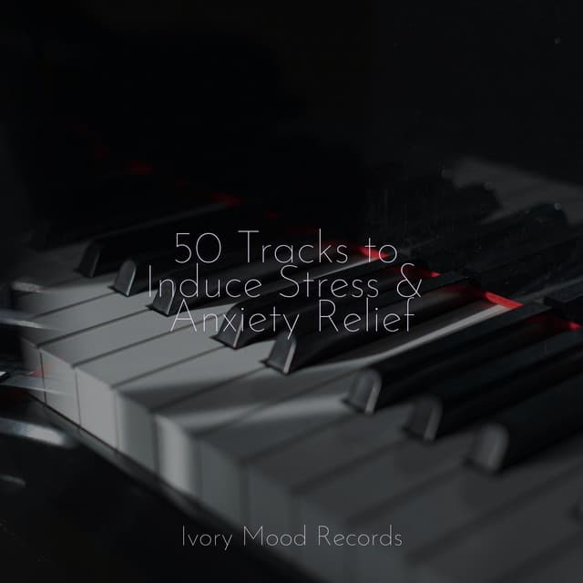 50 Tracks to Induce Stress & Anxiety Relief - Anxiety Relief