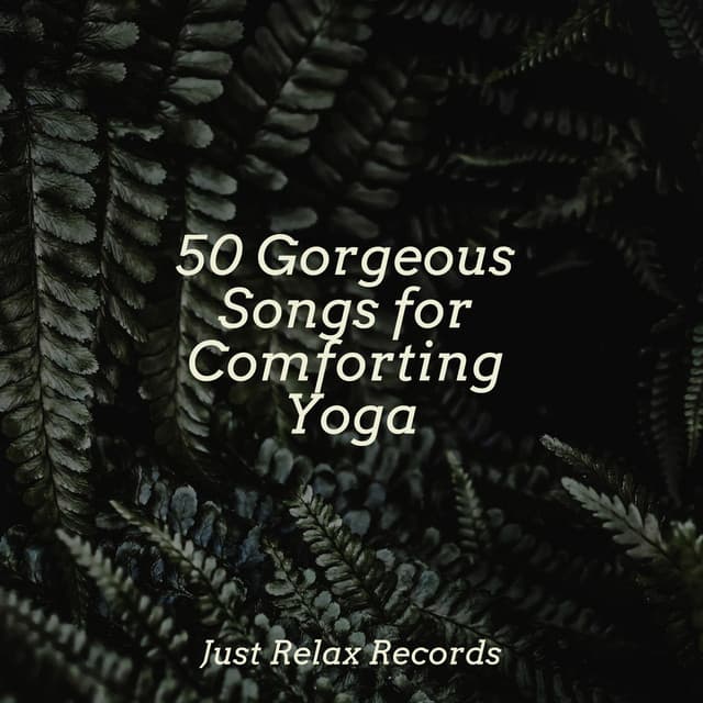 50 Gorgeous Songs for Comforting Yoga - Rest & Relax Nature Sounds Artists