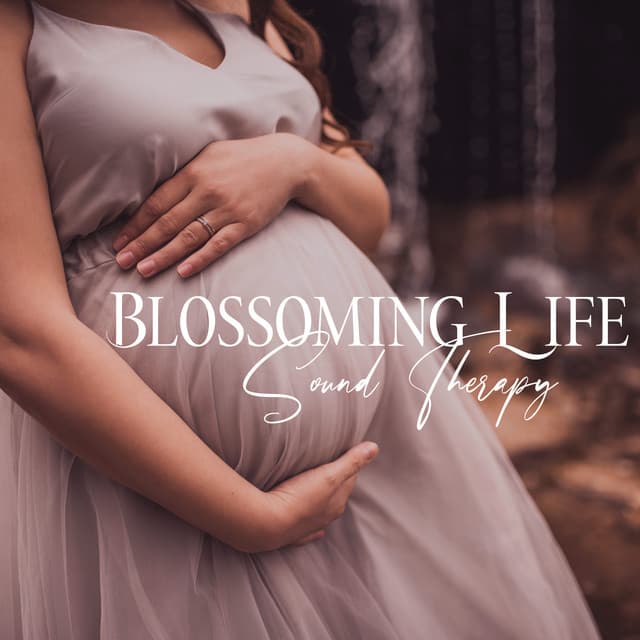 Blossoming Life - Sweet Musical Escape
