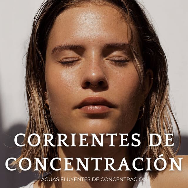 Corrientes De Concentración: Aguas Fluyentes De Concentración - Paisajes sonoros de roca de agua