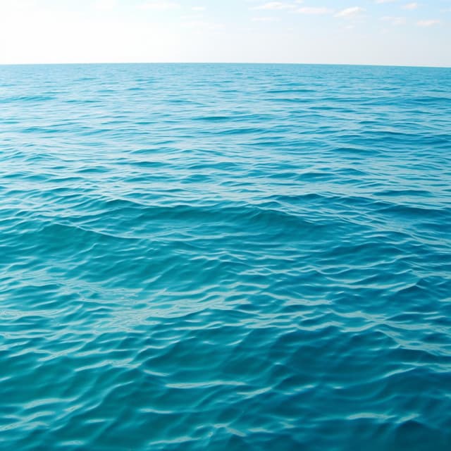 Ritmos Acuáticos: Canciones Del Mar Infinito - Empollón de la naturaleza