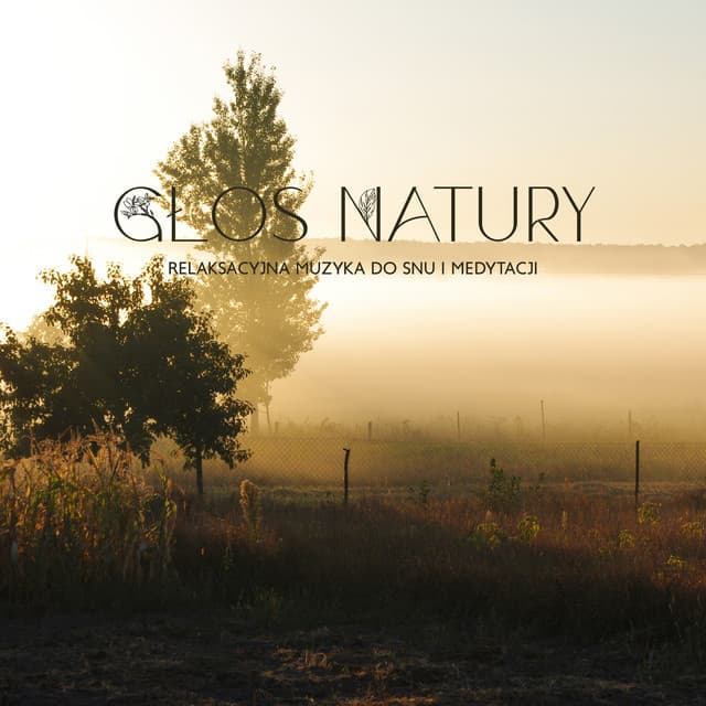 Głos Natury: Relaksacyjna Muzyka do Snu i Medytacji, Kojące Dźwięki Natury, Głęboki Relaks - Strefa Relaksacyjnej Muzyki