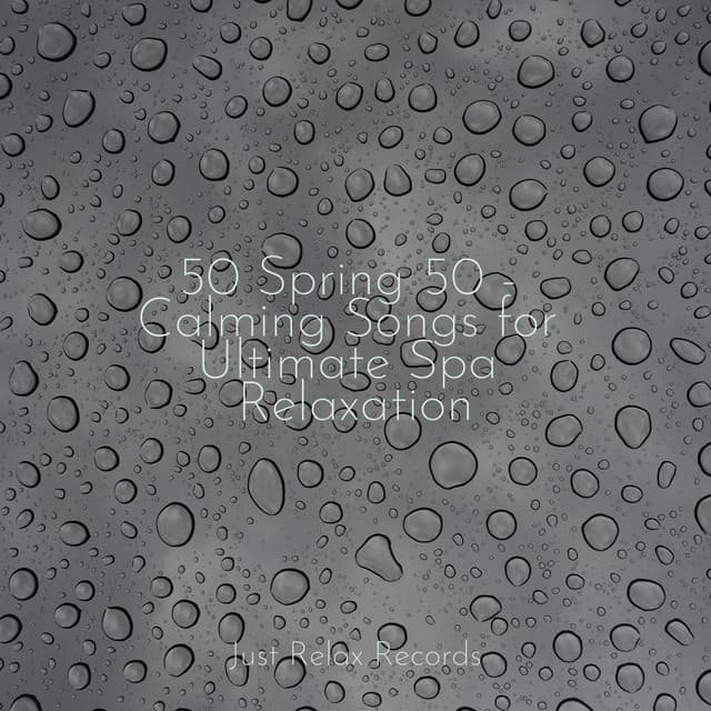 50 Spring 50 - Calming Songs for Ultimate Spa Relaxation - Música a Relajarse