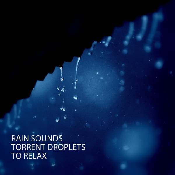 Rain Sounds: Torrent Droplets To Relax - Reading Music