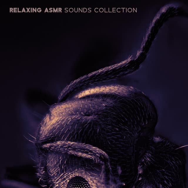 Relaxing ASMR Sounds Collection - ASMR Sounds Clinic