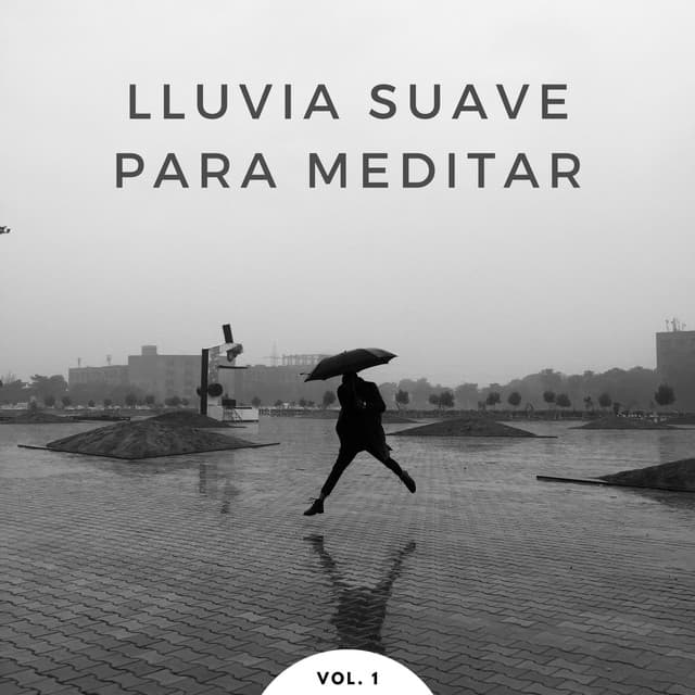 Lluvia Suave Para Meditar Vol. 1 - Sonidos de hombre de lluvia