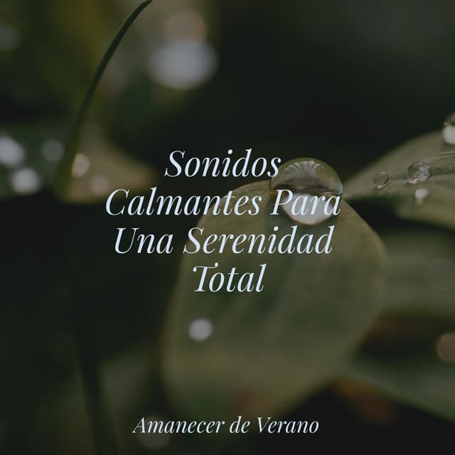Sonidos Calmantes Para Una Serenidad Total - Yoga Sounds