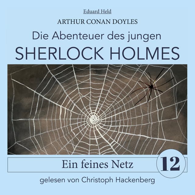 Sherlock Holmes: Ein feines Netz - Der junge Sherlock Holmes
