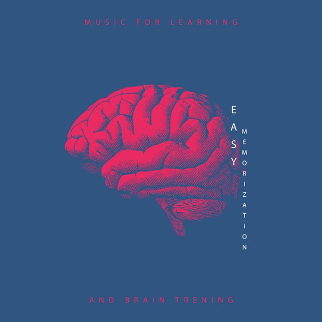 Brain Training Society