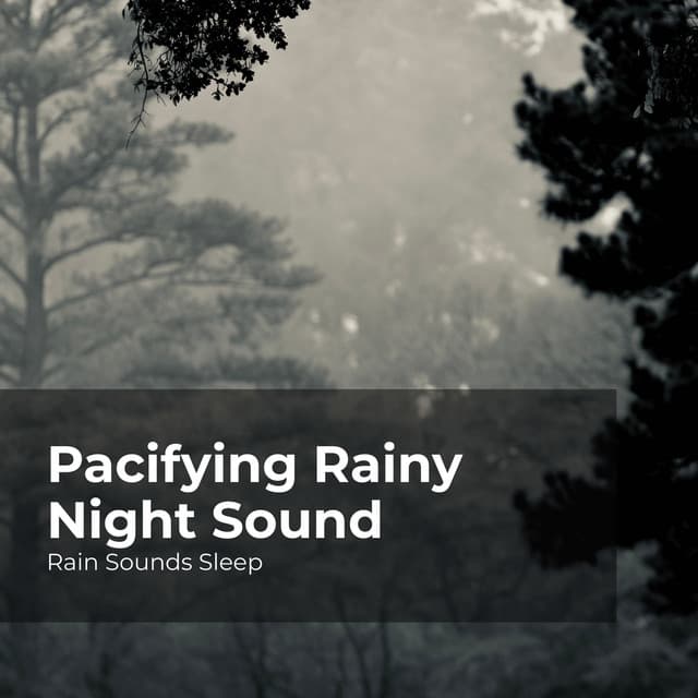 Pacifying Rainy Night Sound - Rain Sounds Sleep