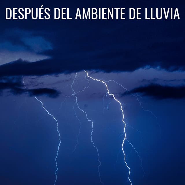 Después Del Ambiente De Lluvia - La biblioteca de la lluvia